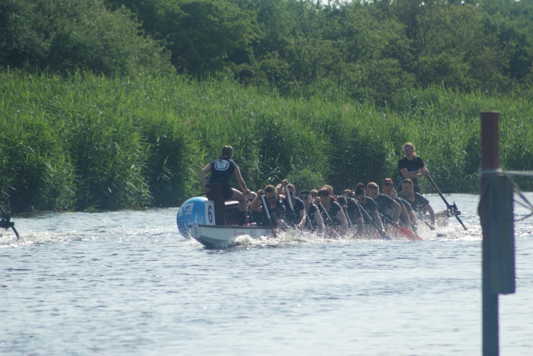Sie kämpfen hart Drachenbootrennen Greifswald