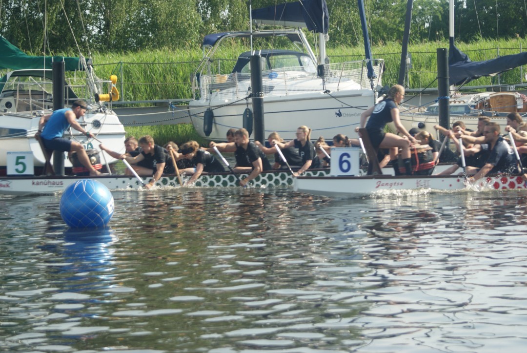 Ein knapp verpasster Sieg Drachenbootrennen Greifswald